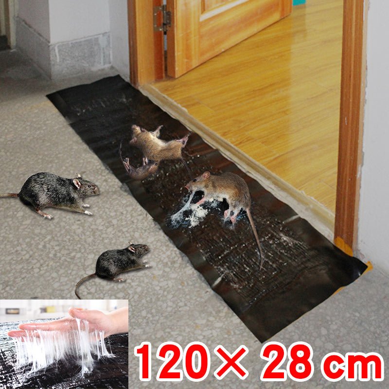 Large Glue Trap Boards with Adhesive Layer and Cardboard Base, 10-Pack
