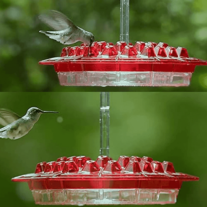 Outdoor Hummingbird Feeder with Raised Ports and Ant Guard, 30 Feeding Stations