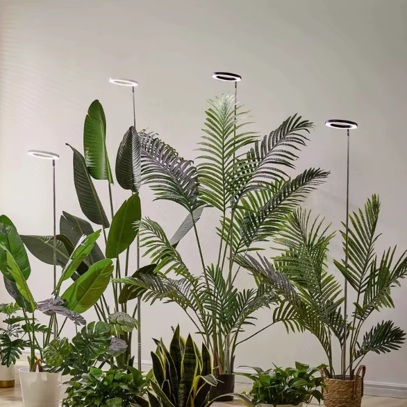 LED Ring Grow Light with Adjustable Height and Automatic Timer, 160 Full Spectrum Bulbs