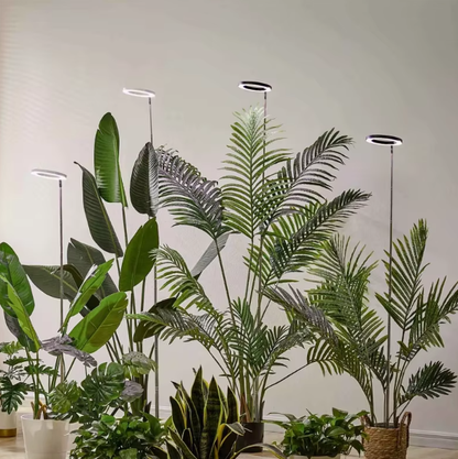 LED Ring Grow Light with Adjustable Height and Automatic Timer, 160 Full Spectrum Bulbs