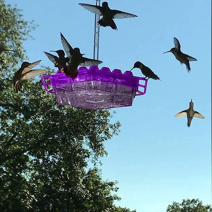 Outdoor Hummingbird Feeder with Raised Ports and Ant Guard, 30 Feeding Stations