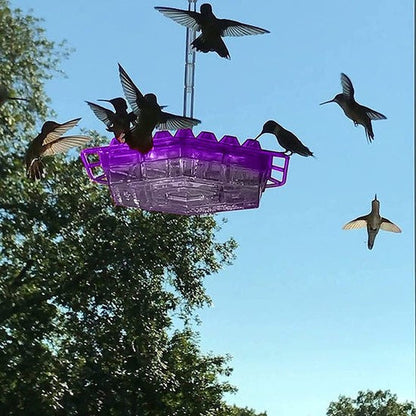 Outdoor Hummingbird Feeder with Raised Ports and Ant Guard, 30 Feeding Stations