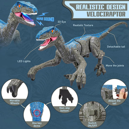 Walking Velociraptor Dinosaur Toy with Wireless Remote and Roaring Sounds