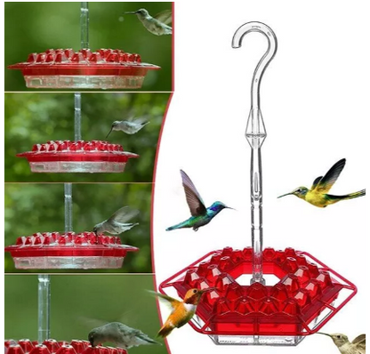 Outdoor Hummingbird Feeder with Raised Ports and Ant Guard, 30 Feeding Stations