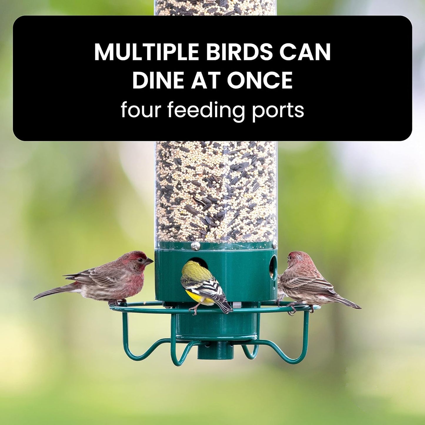 Hanging Bird Feeder with Weight-Activated Spinning Perch and Metal Construction