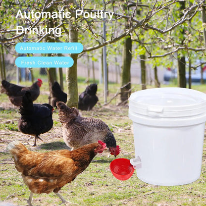 Automatic Gravity Chicken Waterer with Spring Valve and Dual Seals, 10-Pack