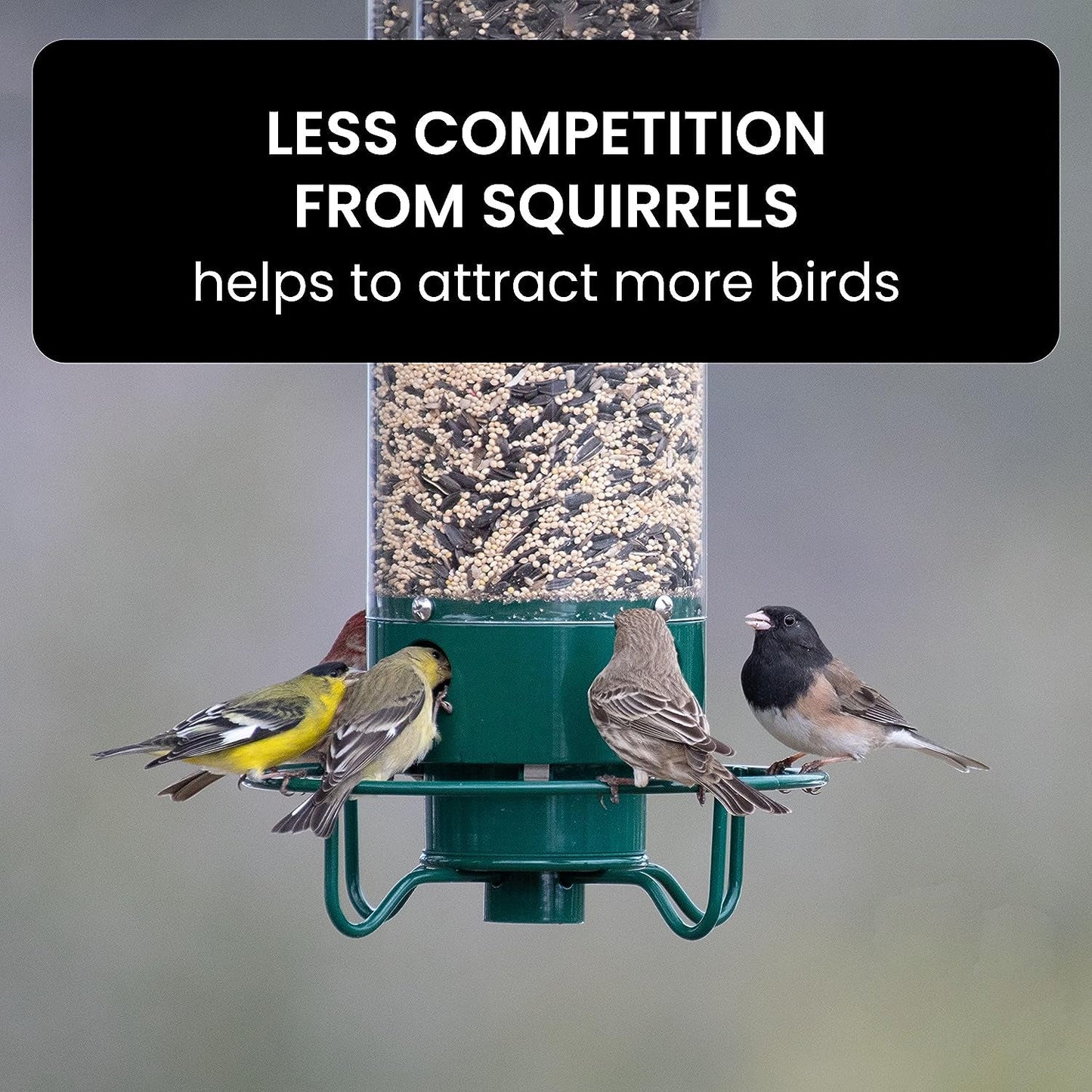 Hanging Bird Feeder with Weight-Activated Spinning Perch and Metal Construction