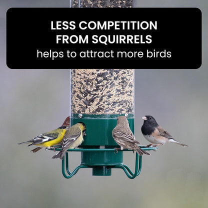 Hanging Bird Feeder with Weight-Activated Spinning Perch and Metal Construction