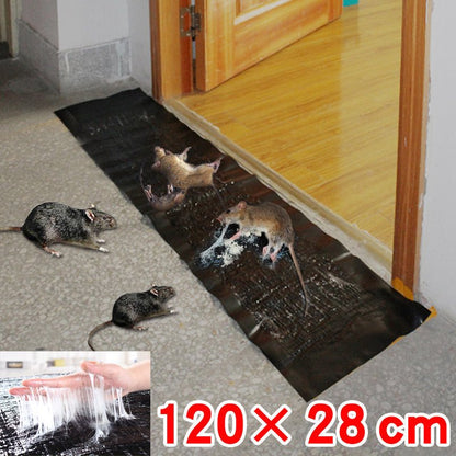 Large Glue Trap Boards with Adhesive Layer and Cardboard Base, 10-Pack