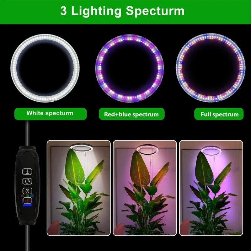 LED Ring Grow Light with Adjustable Height and Automatic Timer, 160 Full Spectrum Bulbs