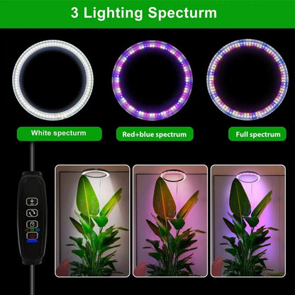 LED Ring Grow Light with Adjustable Height and Automatic Timer, 160 Full Spectrum Bulbs