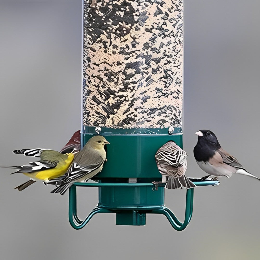 Hanging Bird Feeder with Weight-Activated Spinning Perch and Metal Construction