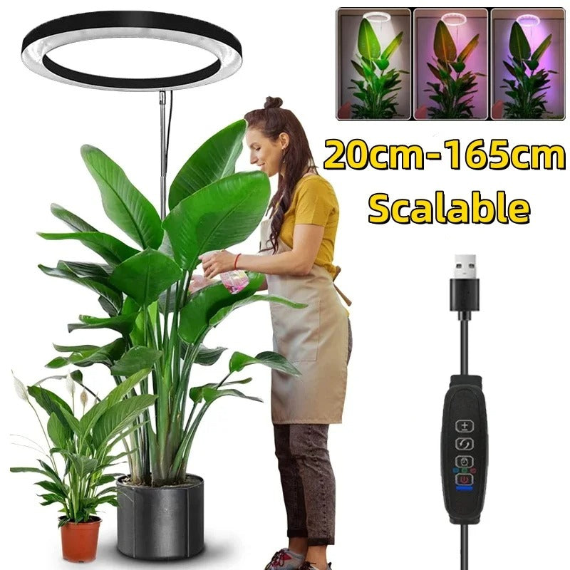 LED Ring Grow Light with Adjustable Height and Automatic Timer, 160 Full Spectrum Bulbs