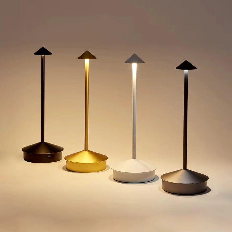 Rechargeable LED Desk Lamp with Touch Control and 3 Color Temperatures