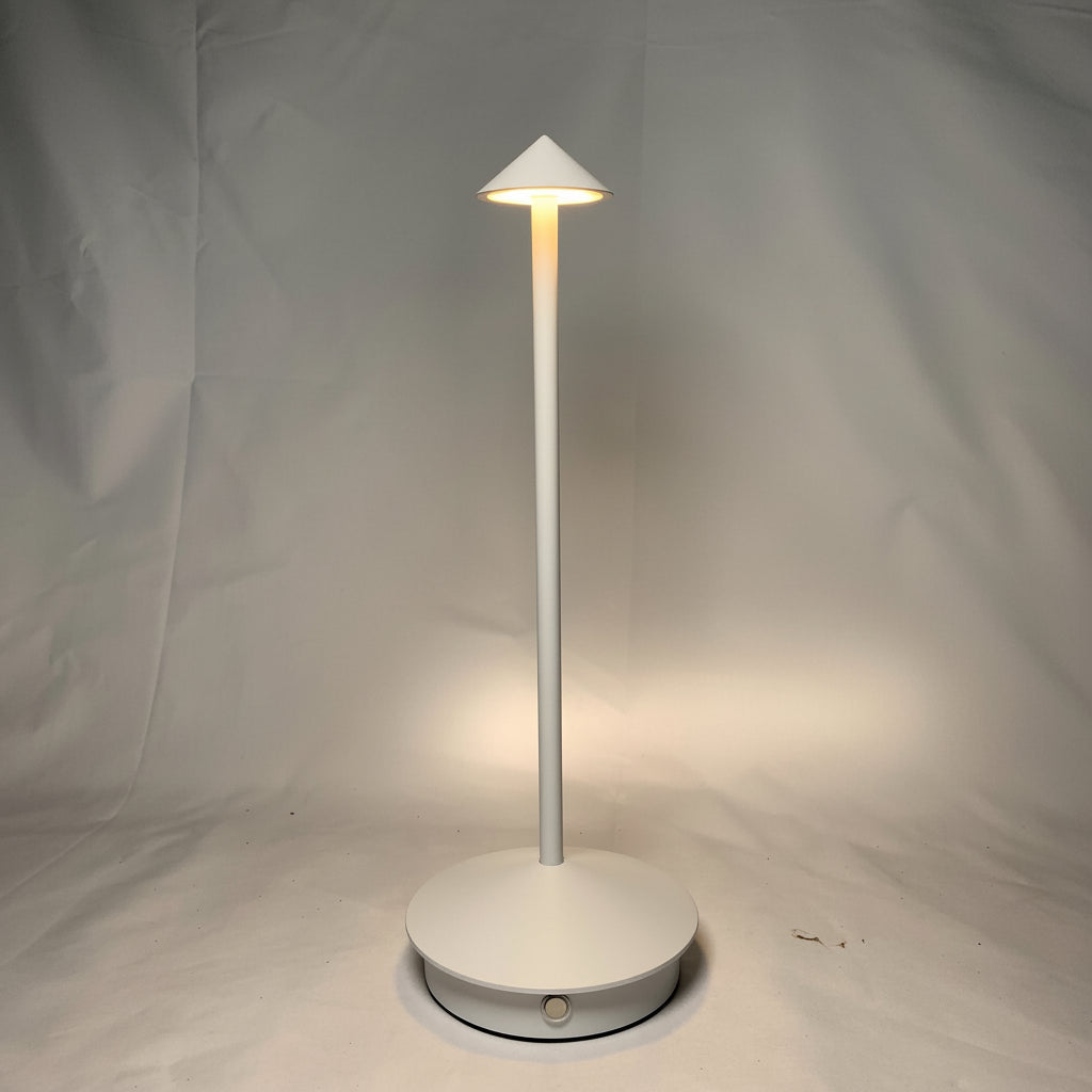 Rechargeable LED Desk Lamp with Touch Control and 3 Color Temperatures