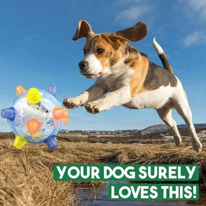 Interactive Jumping Ball with LED Lights and Sound for Dogs