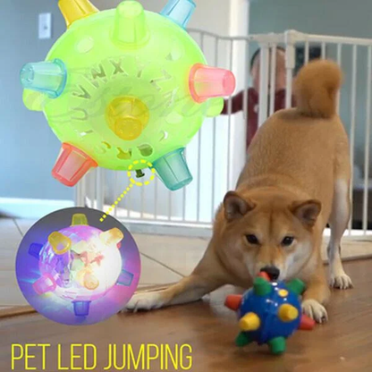 Interactive Jumping Ball with LED Lights and Sound for Dogs