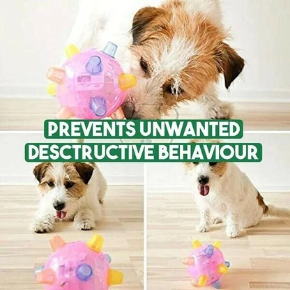 Interactive Jumping Ball with LED Lights and Sound for Dogs