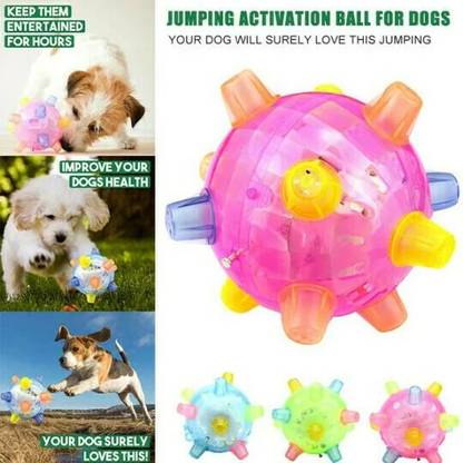 Interactive Jumping Ball with LED Lights and Sound for Dogs