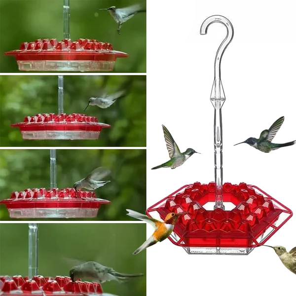 Hummingbird Feeder with Ant Moat and Bee-Resistant Ports, 30 Feeding Stations