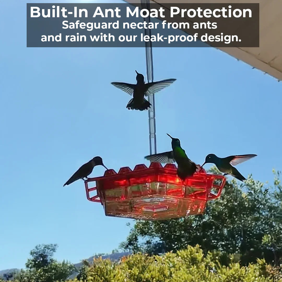 Hummingbird Feeder with Ant Moat and Bee-Resistant Ports, 30 Feeding Stations